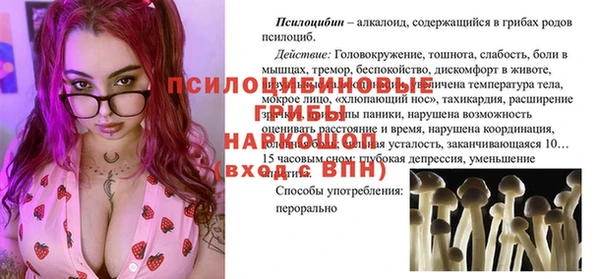 твердый Карпинск