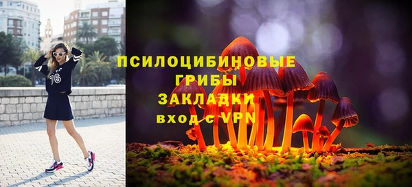 твердый Карпинск