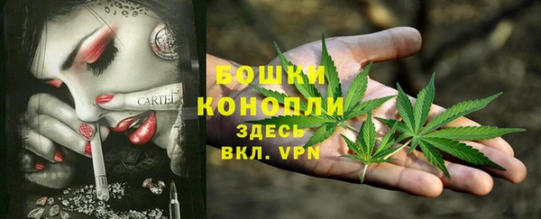 твердый Карпинск